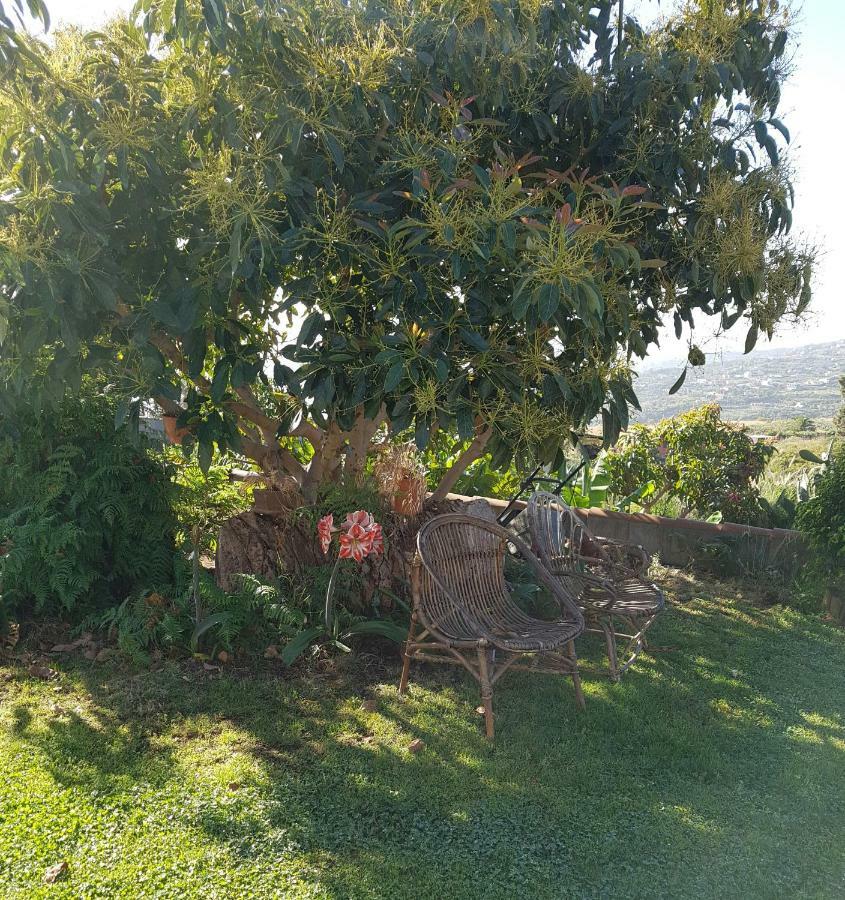 La Sabana Guest House Buenavista de Abajo Exterior photo