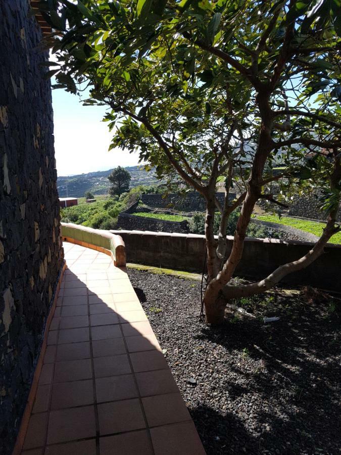 La Sabana Guest House Buenavista de Abajo Exterior photo